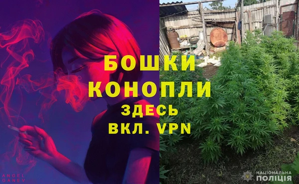 таблы Белокуриха