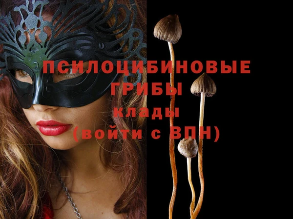 таблы Белокуриха
